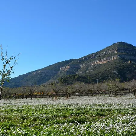 El Pino * Chera