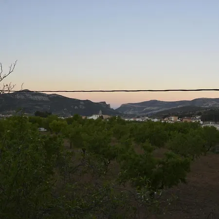El Pino *