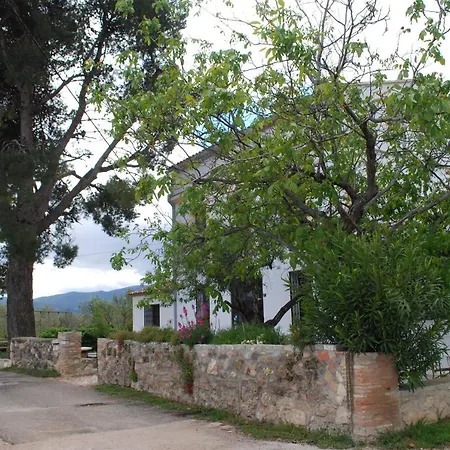 El Pino